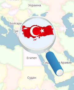 Пересадка бровей в Турции